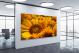 Sunflowers Flowers, 2021 - Canvas Wrap1