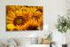 Sunflowers Flowers, 2021 - Canvas Wrap3