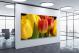 Tulips Buds, 2021 - Canvas Wrap1