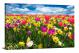 Tulips Field, 2021 - Canvas Wrap