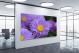 Aster Flowers, 2021 - Canvas Wrap1