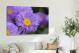 Aster Flowers, 2021 - Canvas Wrap3