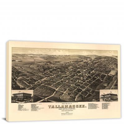 View of the city of Tallahassee, 1885 - Canvas Wrap