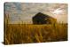Barn in the wheat, 2018 - Canvas Wrap