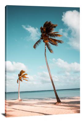 CW0232-beach-two-palm-trees-00