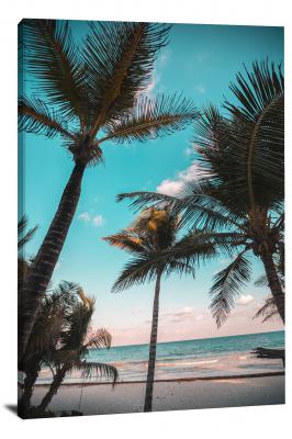 CW0249-beach-large-palm-trees-00