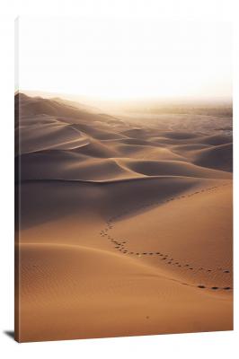 CW0388-desert-footprints-00