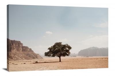 CW0390-desert-lone-tree-00