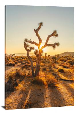 Tree in the Desert, 2020 - Canvas Wrap