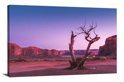 Tree in Monument Valley, 2018 - Canvas Wrap
