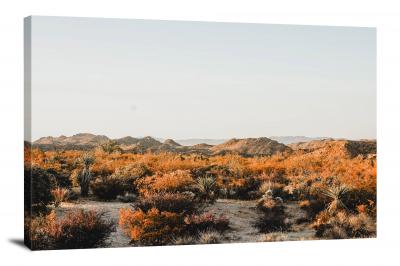 Field in the Desert, 2020 - Canvas Wrap
