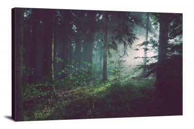 Dark Green Forest, 2015 - Canvas Wrap