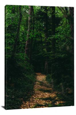 Path in the woods, 2021 - Canvas Wrap