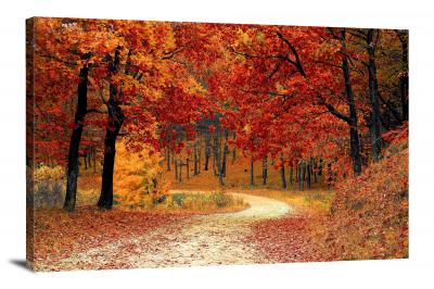 Autumn Forest, 2015 - Canvas Wrap