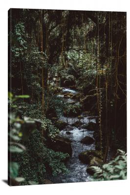 CW0439-forest-stream-in-a-green-thicket-00