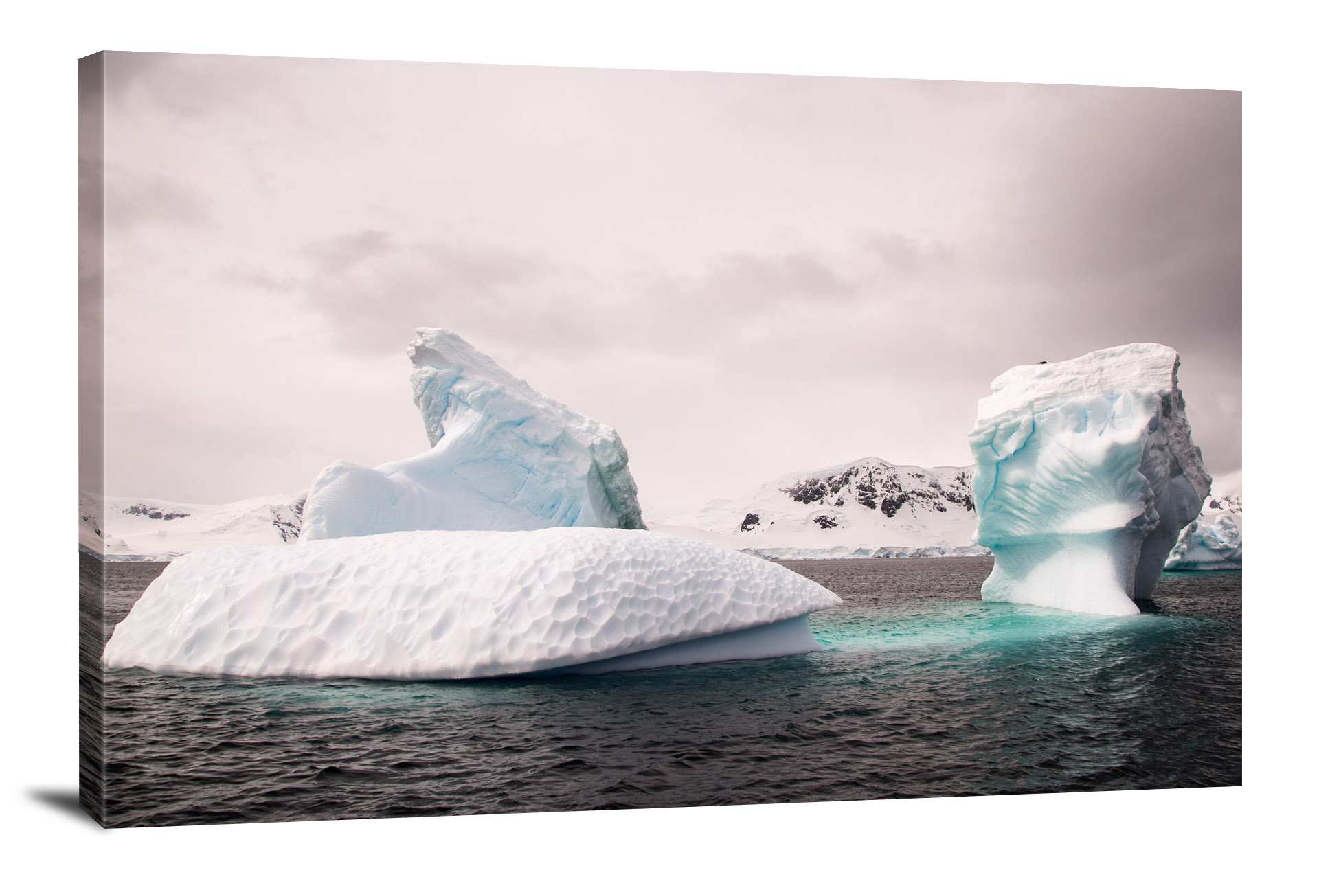 Antarctica, 2018 - Canvas Wrap