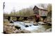 Glade Creek Grist Mill, 2021 - Canvas Wrap