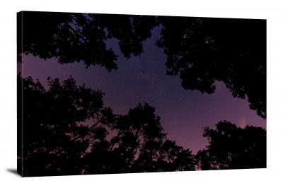 CW5045-night-sky-looking-up-at-the-purple-sky-00