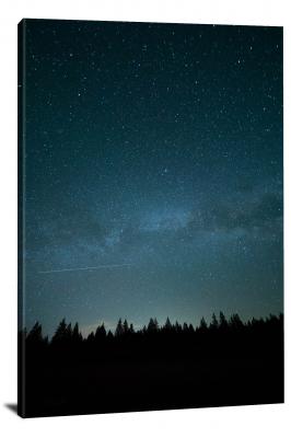 Shooting Star Night Forest, 2015 - Canvas Wrap