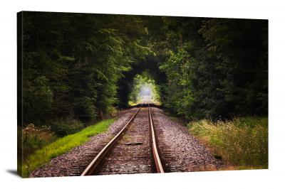 CW0593-railroad-tracks-through-the-forest-00