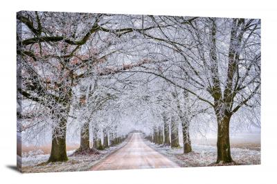 Trees in Winter, 2022 - Canvas Wrap