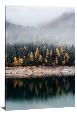 CW0654-tree-autumn-woods-across-the-lake-00