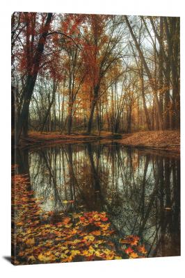 CW0660-tree-autumn-leaves-floating-00
