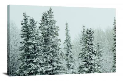 CW0667-tree-summer-snowfall-00