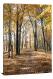 Brown Forest, 2016 - Canvas Wrap