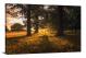Bench in the Woods, 2017 - Canvas Wrap