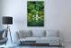 Green Reflections, 2018 - Canvas Wrap3