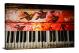 Painted Piano of Color, 2017 - Canvas Wrap