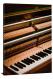 Piano Hammers, 2020 - Canvas Wrap