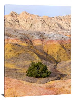 CW1266-badlands-national-park-lonely-tree-in-a-valley-00