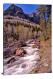 Up on Canyon Creek, 2021 - Canvas Wrap