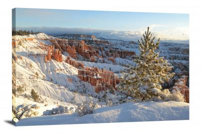 CW1338-bryce-canyon-national-park-bryce-canyon-snow-tree-00
