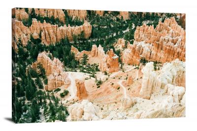 CW1343-bryce-canyon-national-park-bryce-canyon-slope-00