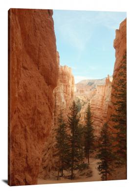 CW1357-bryce-canyon-national-park-canyon-and-trees-00