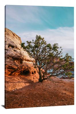 CW1385-canyonlands-national-park-lone-tree-00
