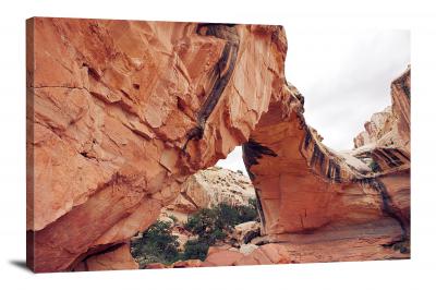 Back of Arch Wall, 2020 - Canvas Wrap