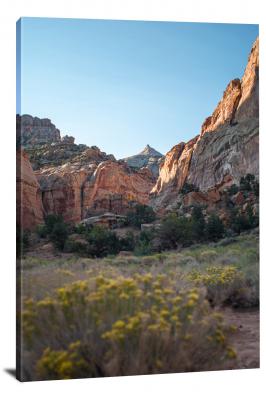 CW1409-capitol-reef-national-park-wildflower-perspective-00