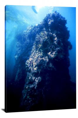 Engine of the CUBA Covered with Marine Flora, 2010 - Canvas Wrap
