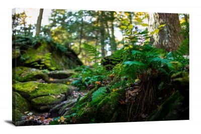 Giant Forest Rock with Tree, 2021 - Canvas Wrap