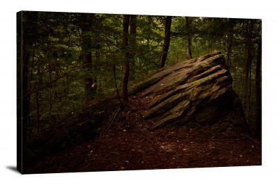 CW1487-cuyahoga-valley-national-park-giant-forest-rock-with-tree-00