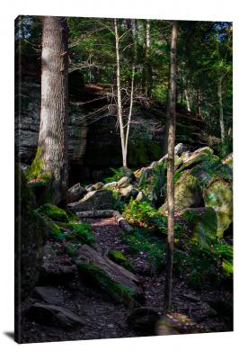 CW1502-cuyahoga-valley-national-park-rock-and-tree-valley-00