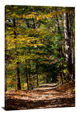 Fall Lined Road, 2021 - Canvas Wrap