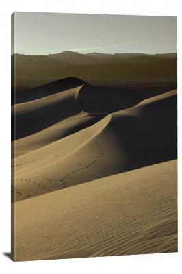CW1535-death-valley-national-park-footprints-in-sand-00