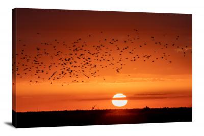 Florida Sunset with Birds, 2020 - Canvas Wrap