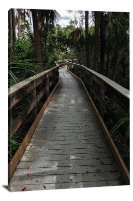 CW1588-everglades-national-park-wetlands-boardwalk-00