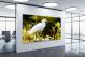Snowy Egret, 2017 - Canvas Wrap1